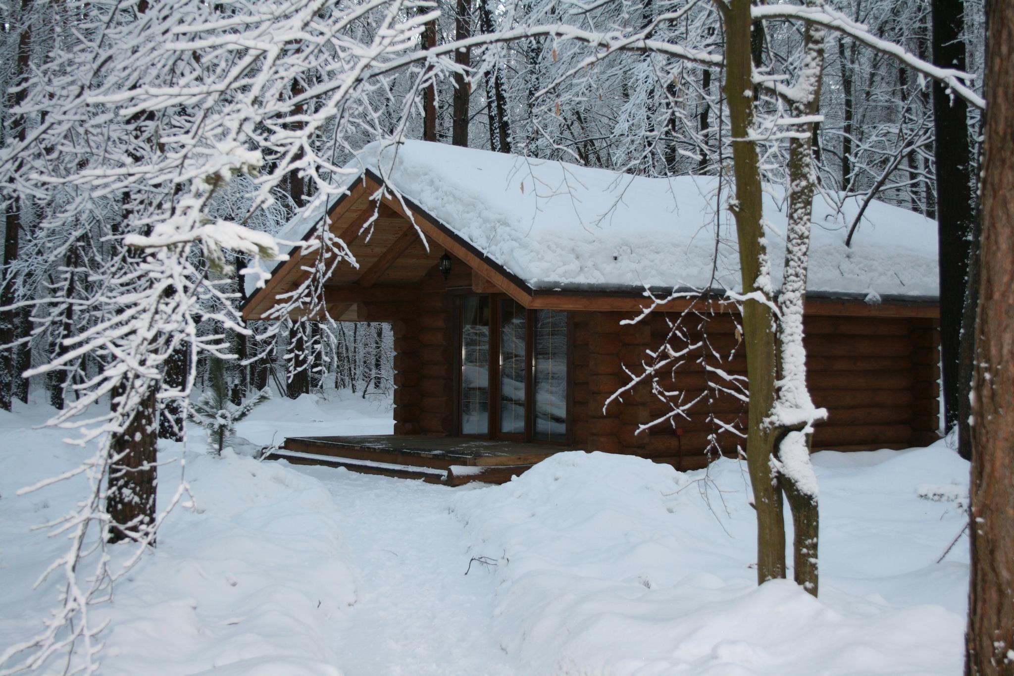 Старый пруд