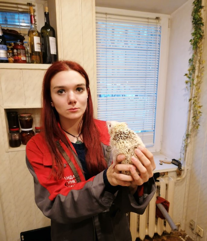 Ежа достали, спустя пять часов. Фото: Facabook KARG