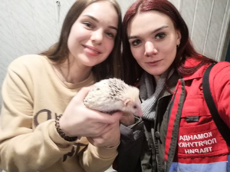 Теплолюбивое животное вернули хозяйке. Фото: Facabook KARG