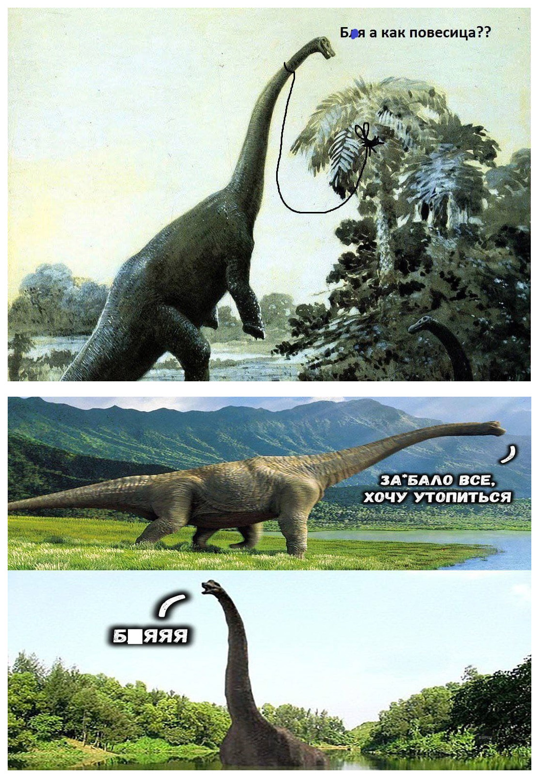 Пример контента из "группы смерти"