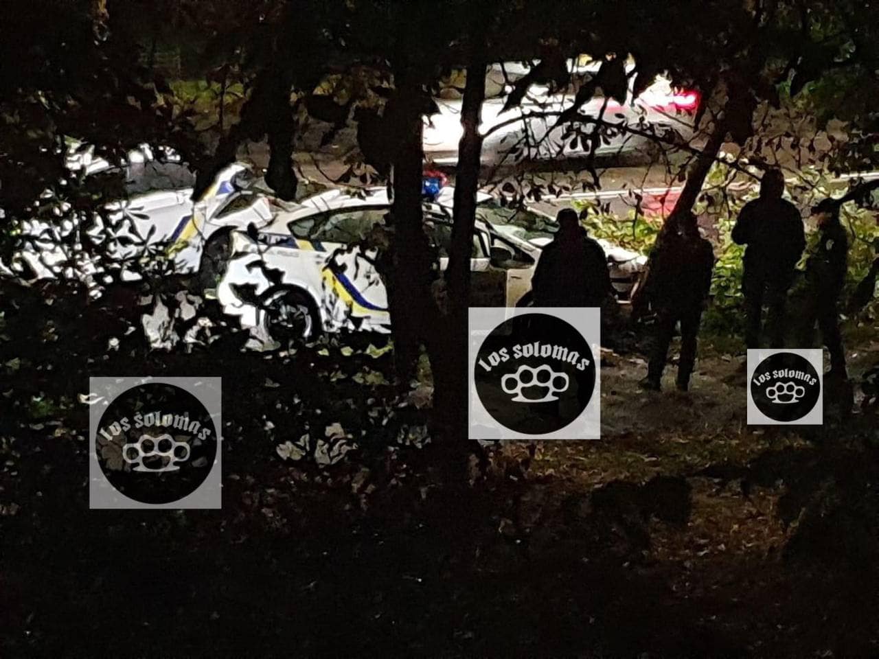 Фото с места аварии. Фото: Los Salomas