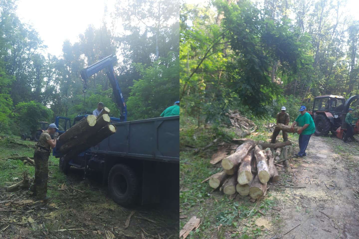 Коммунальщики расчищают территорию будущего сквера. Фото: Светлана Бережная