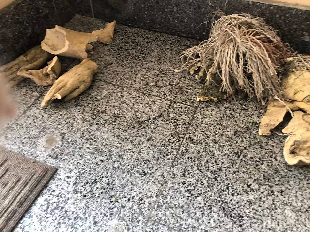 Удасться ли восстановить - пока неизвестно. Фото: Константин Скритуцкий