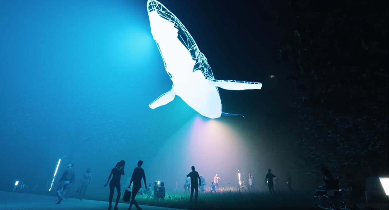 Подсветка кита. Фото: Facebook/KyivWhale/