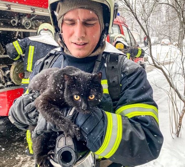 Спасенный кот. Фото: пресс-служба ГСЧС