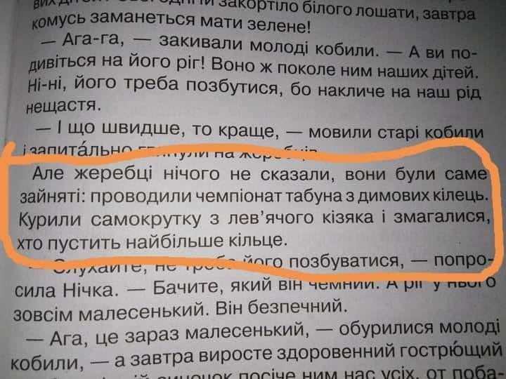 Чтение, третий класс. Фото: Svetlana Olegovna