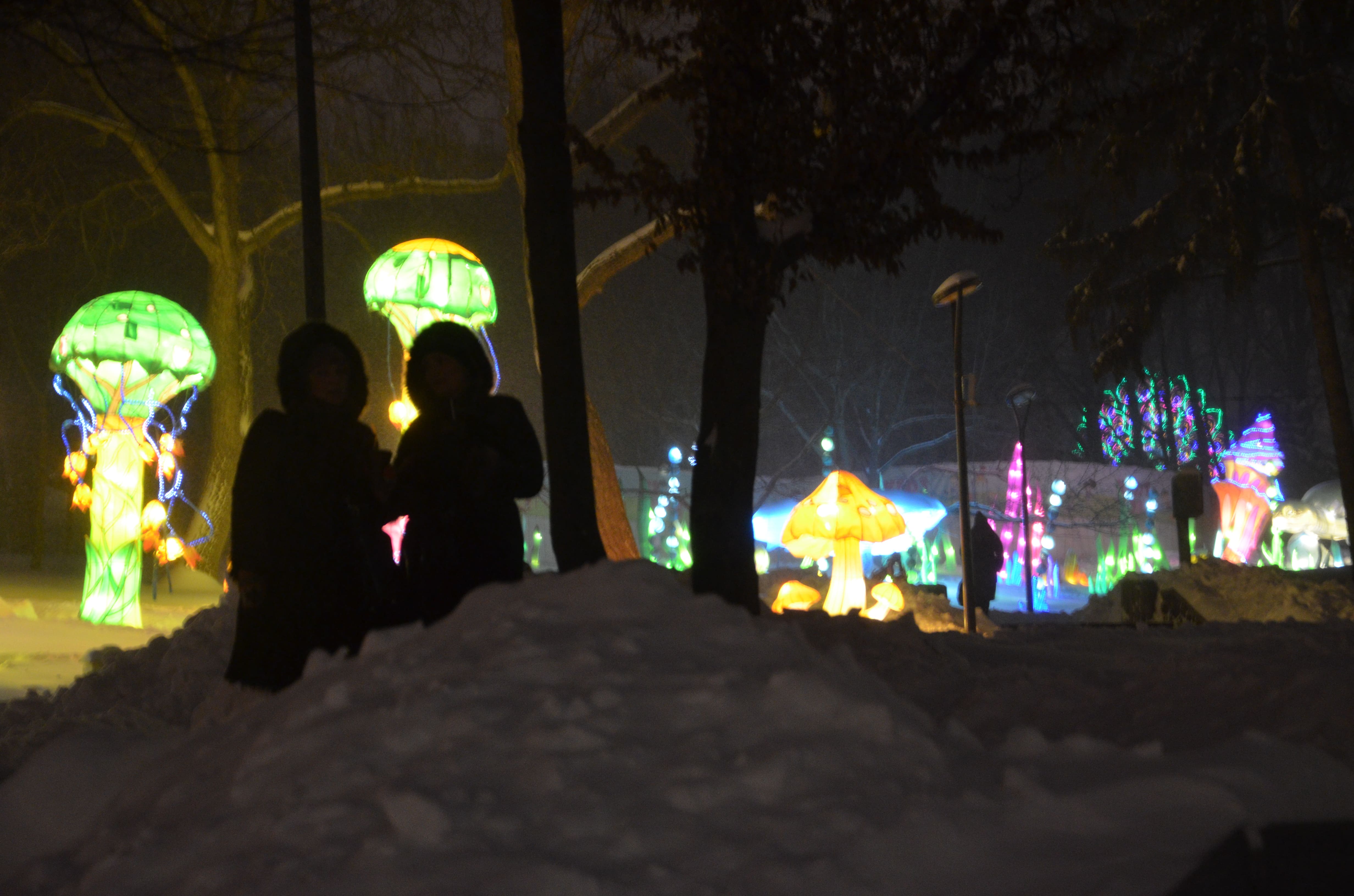 На фестивале царит ощущение сказки