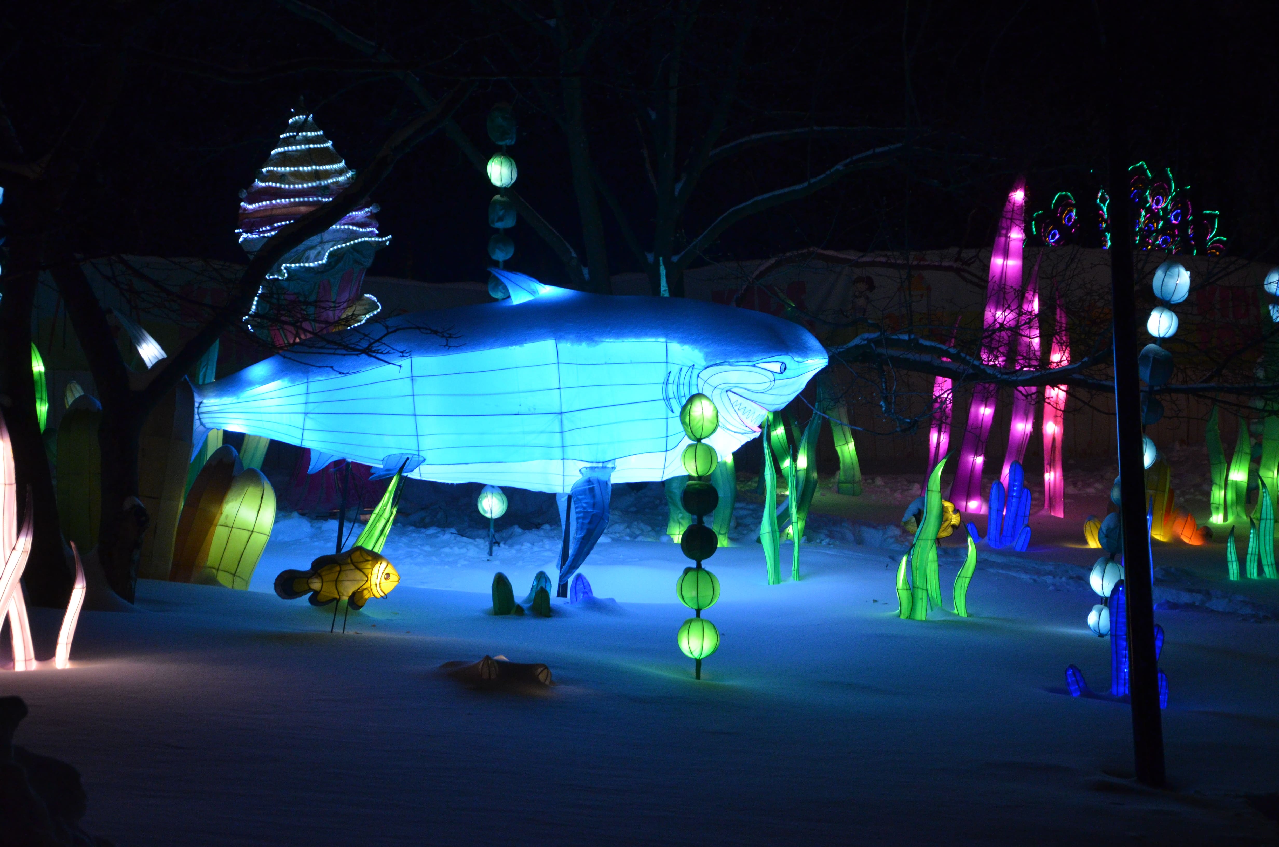 Всего представлено более 30 инсталляций