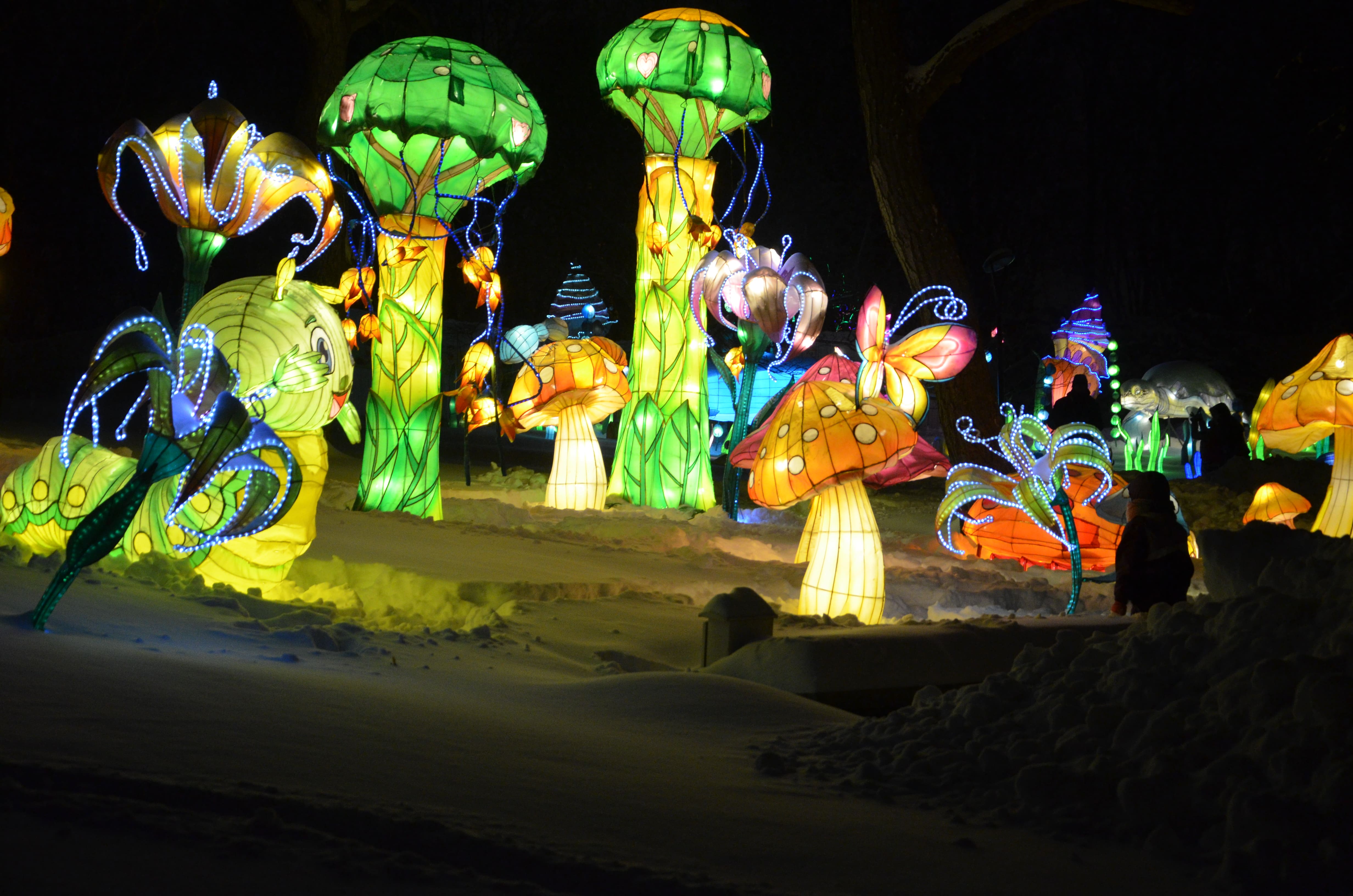 Ощущение сказки только усиливается от мороза и снега