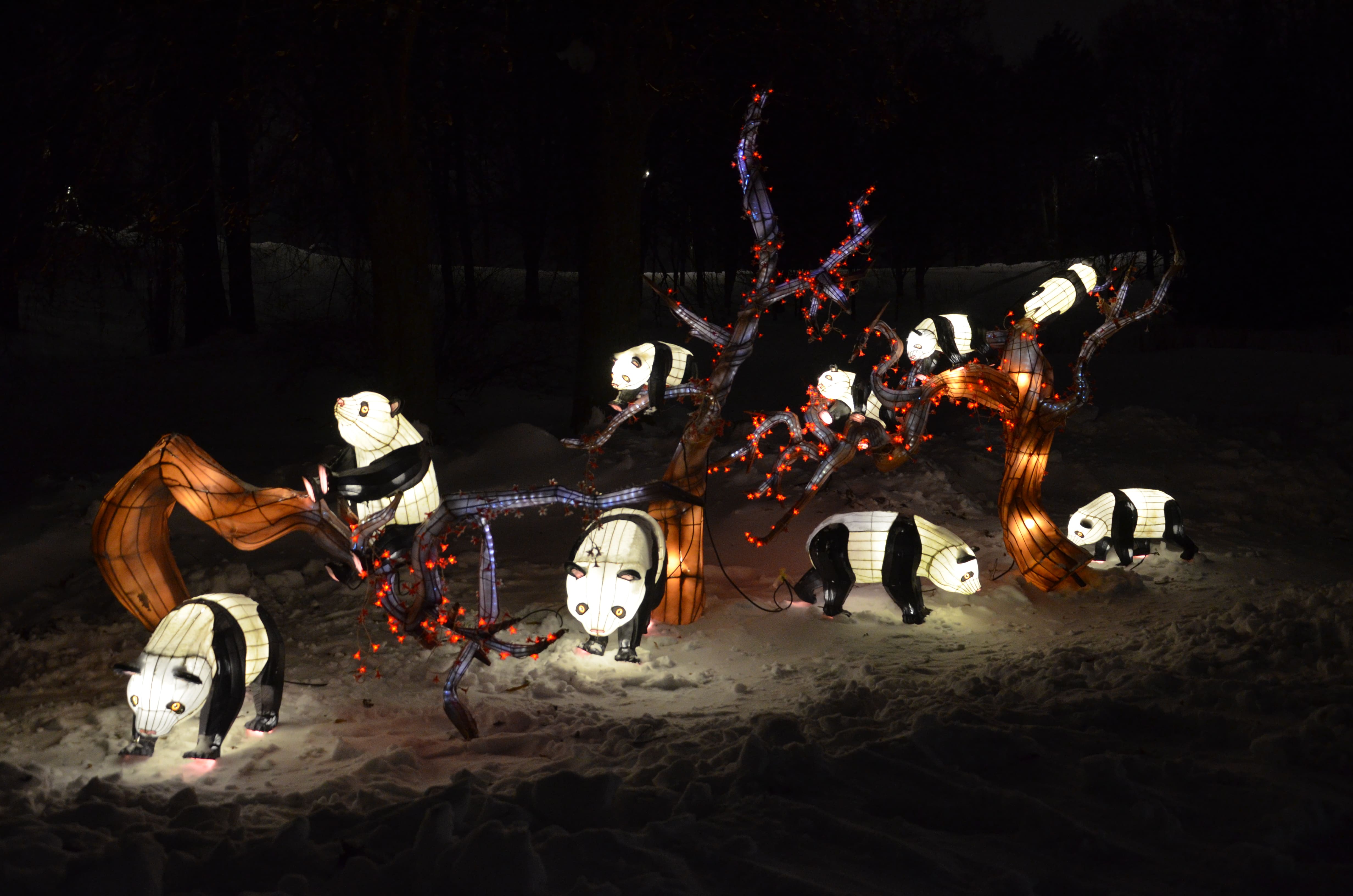 Но вы только посмотрите на этих милых панд!