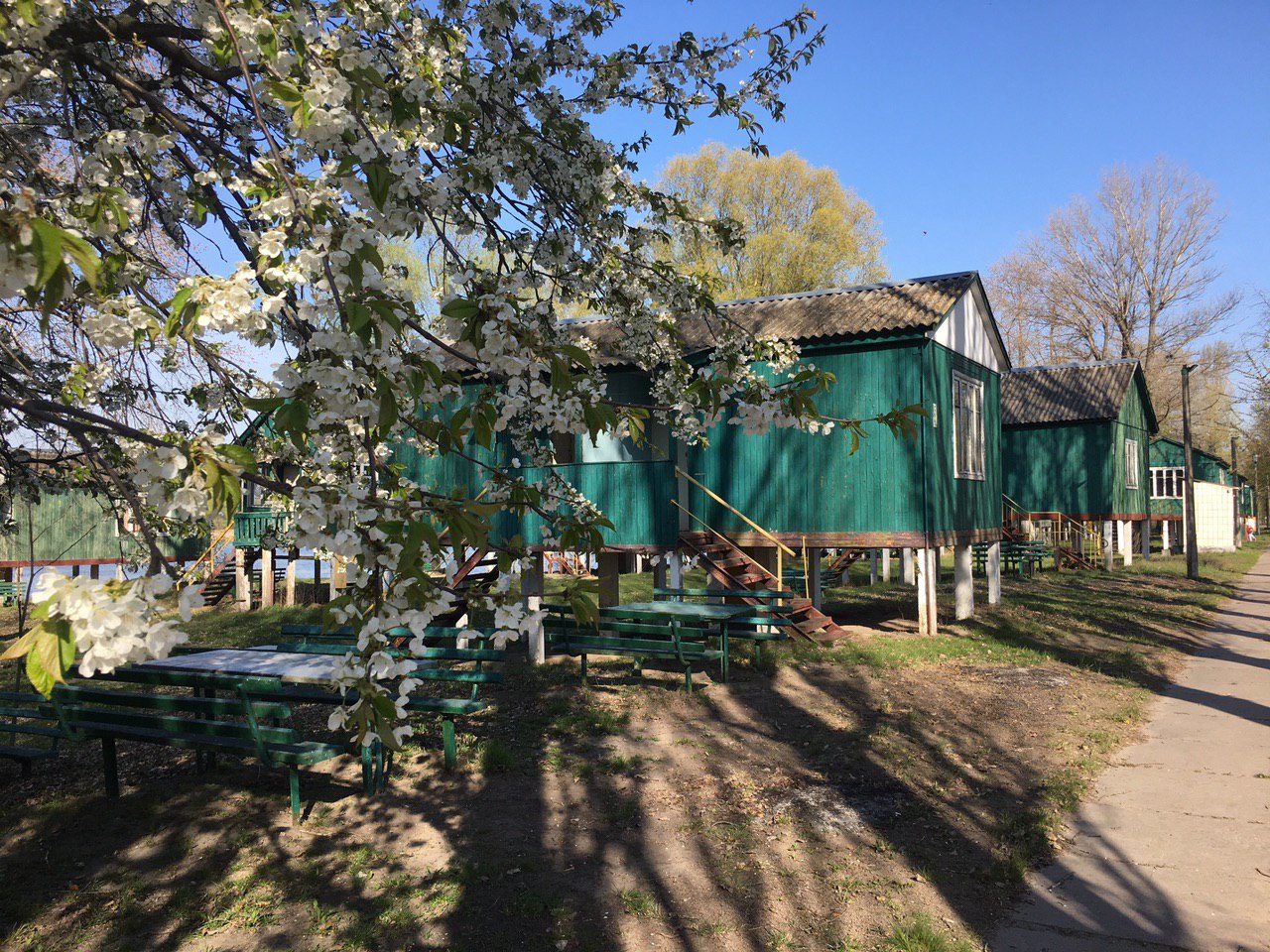 Отпуск за два дня: 15 бюджетных баз отдыха под Киевом, где можно перевести дух