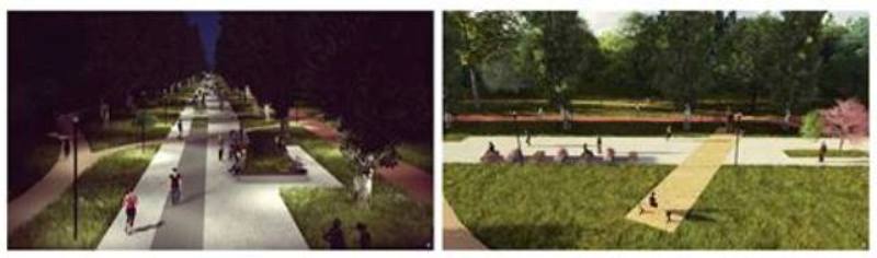 Нагуляешься: в парке "Муромец" обустраивают необычную аллею фото 1