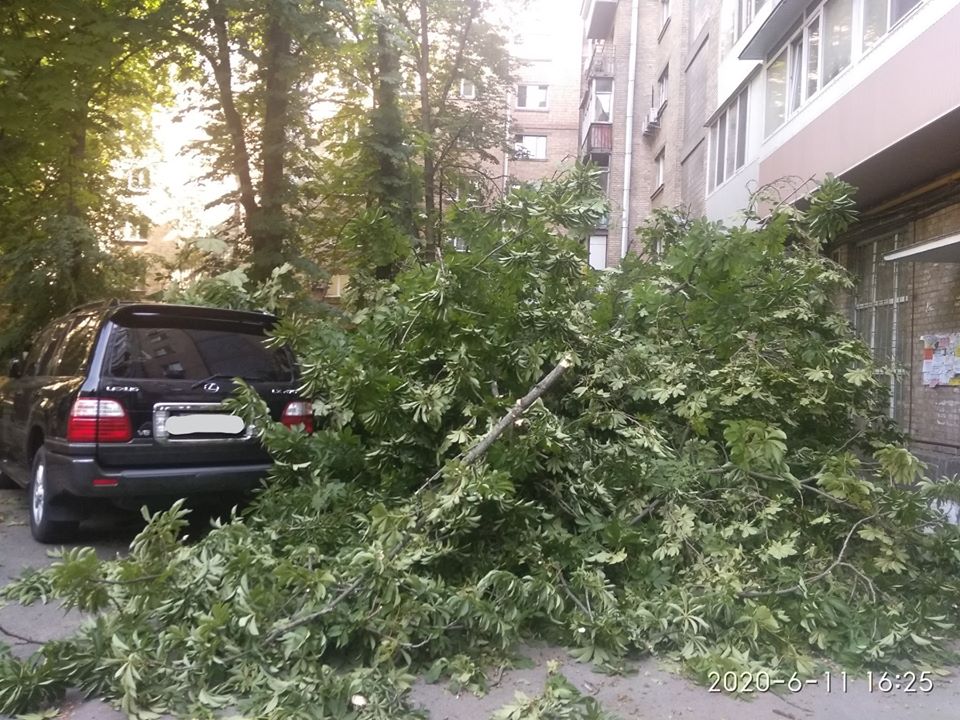 Фото: КАРС "Київська служба порятунку"