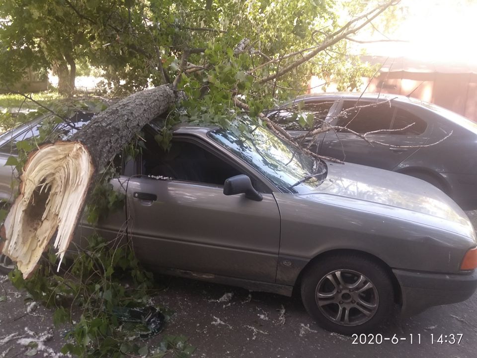 Фото: КАРС "Київська служба порятунку"