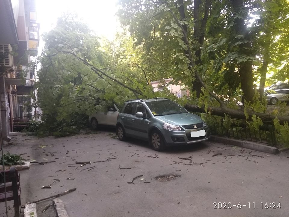 Фото: КАРС "Київська служба порятунку"