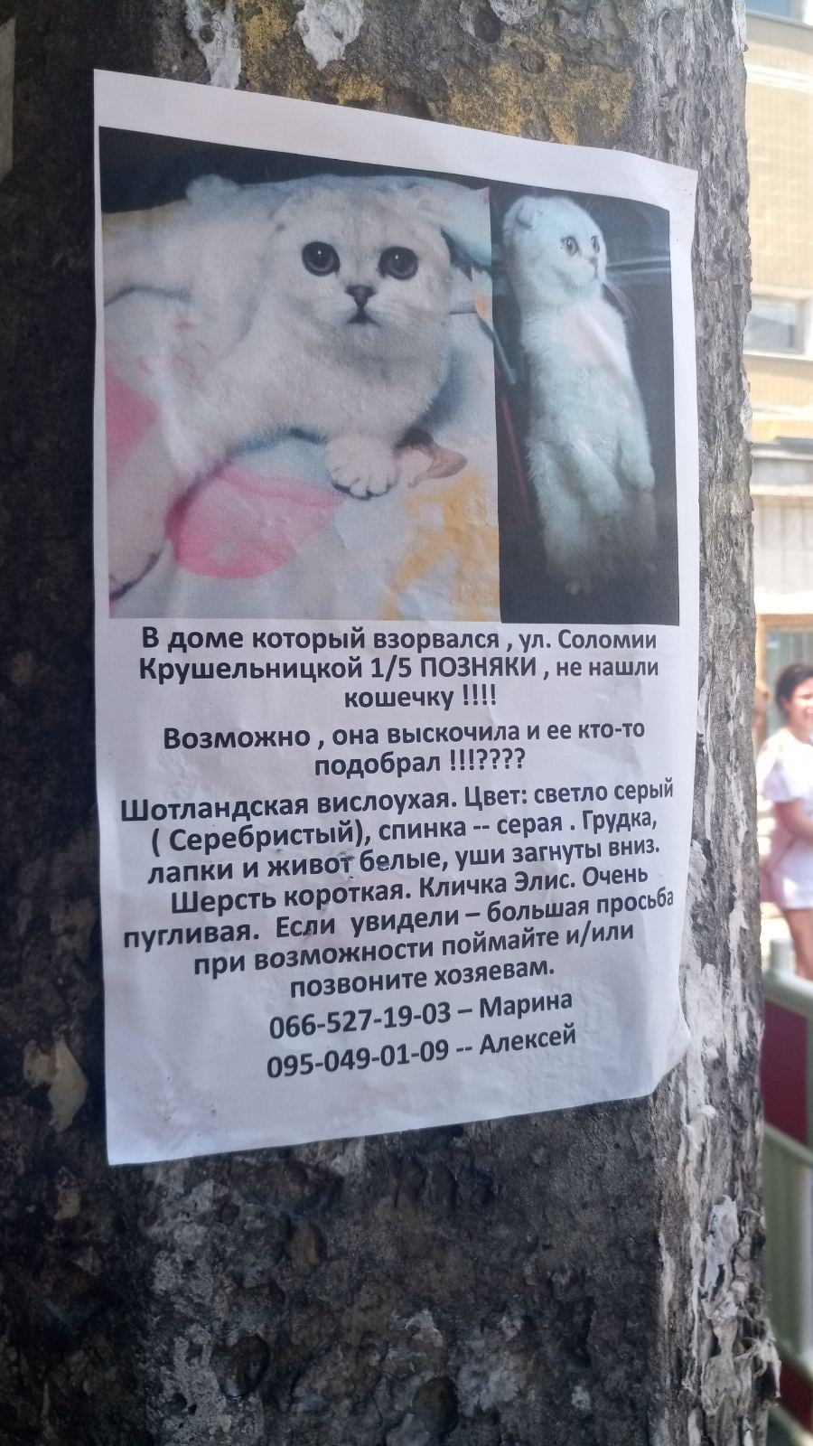 Фото: Елена Крыжановская