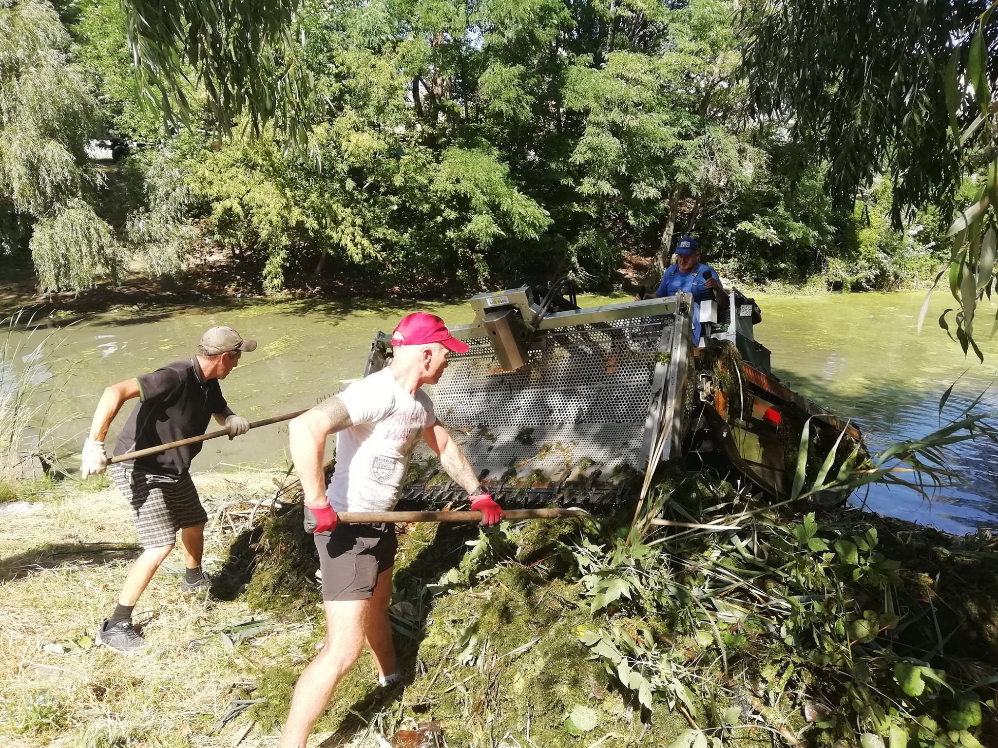 Фото: Плесо