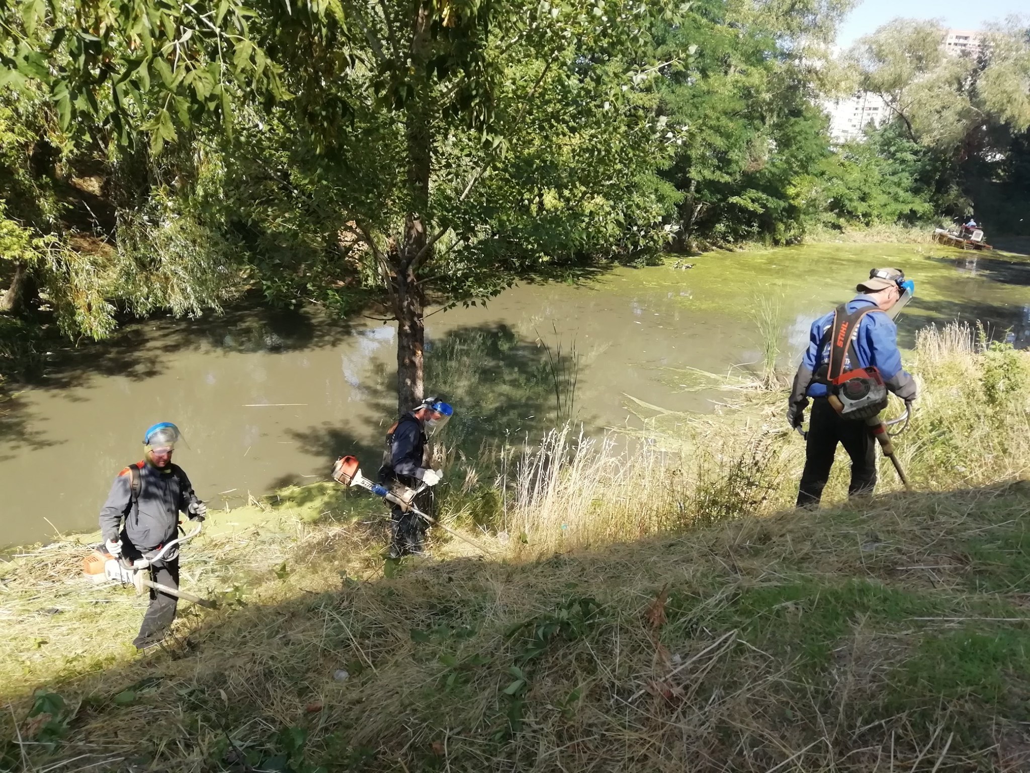 Фото: Плесо