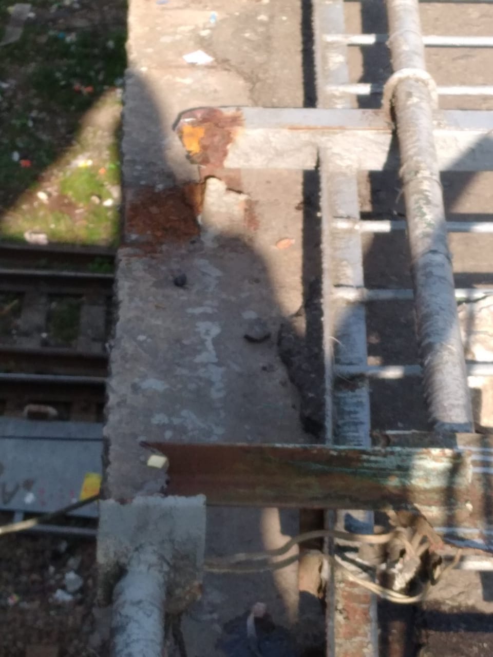 Фото: Максим Пузатий