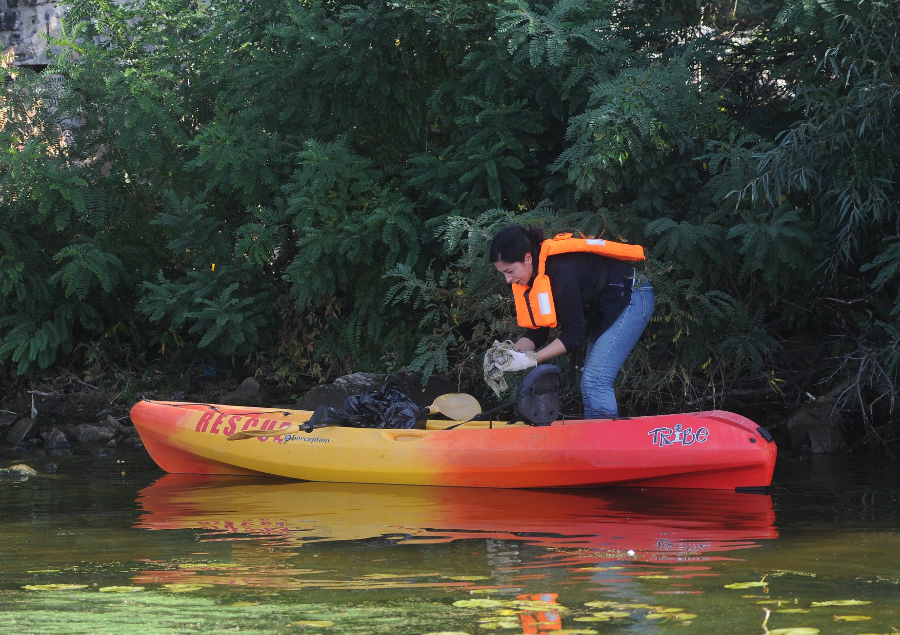 Фото: КП "Плесо"