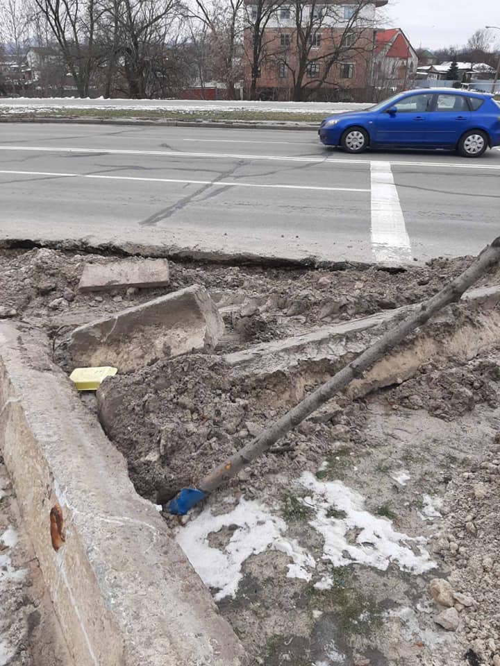 Проложили кабель: на Радужном работники ДТЭК повредили новые деревья фото 3 2