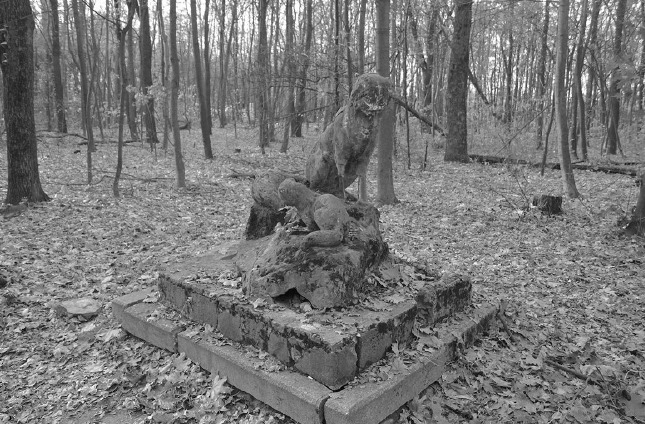 Фото: И. Однопозов