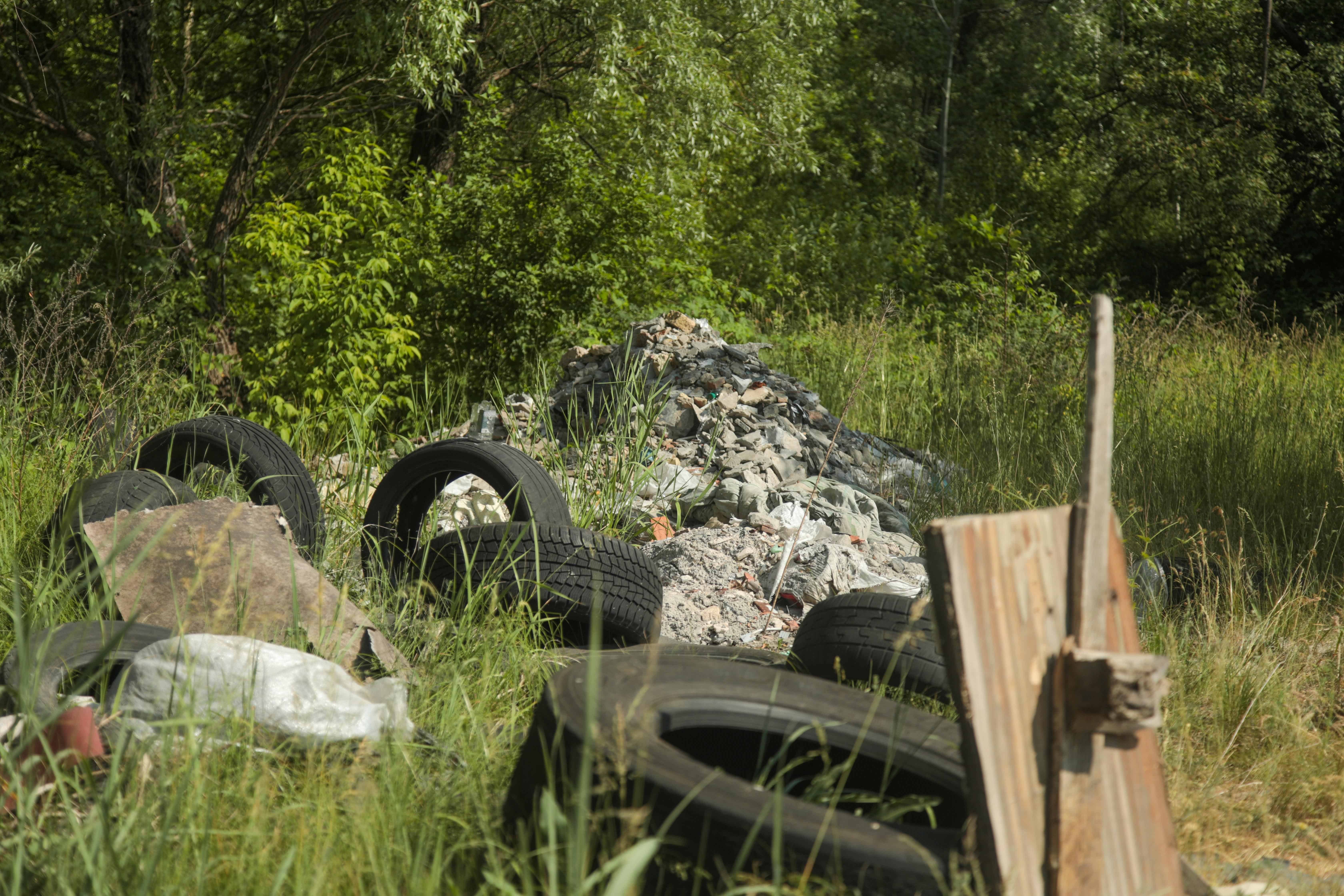 Станет ли Галерный залив жемчужиной Киева? фото 1
