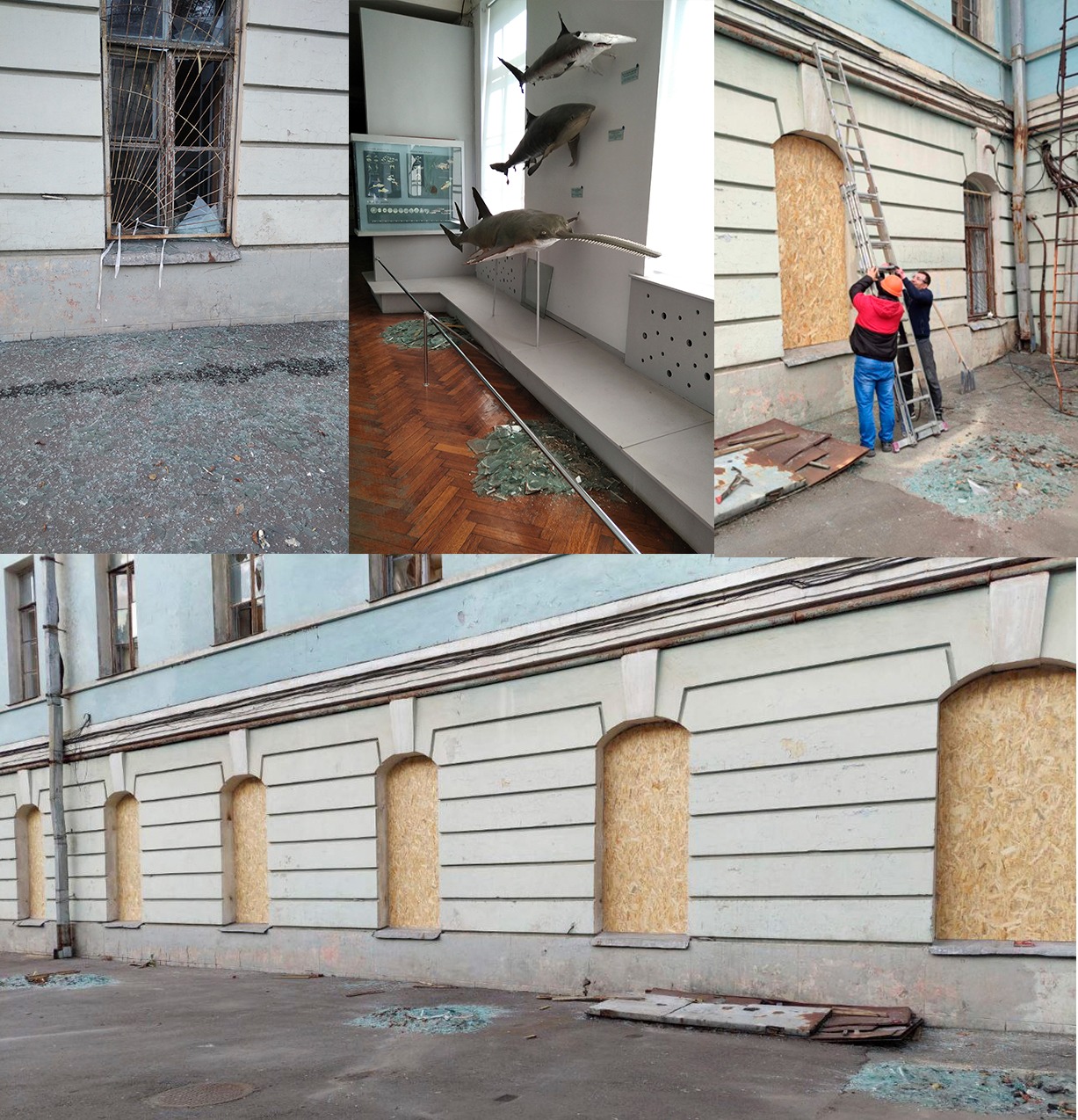 У Києві просять урятувати Національний науково-природничий музей після обстрілів.