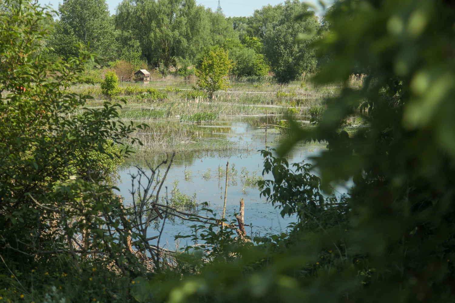 Станет ли Галерный залив жемчужиной Киева? фото 2 1