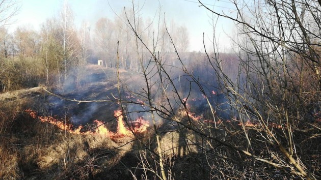 Фото: ГСЧС Киева