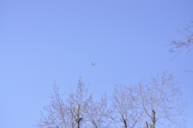 Фото: Сегодня