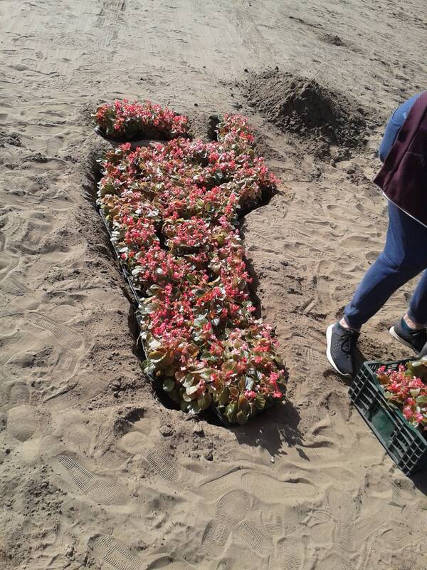 Фото: Юлия Абрамова