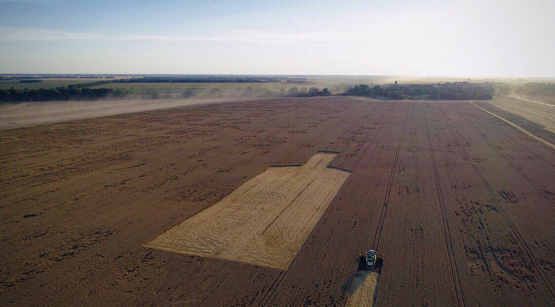 Фотофакт: на поле под Киевом заметили огромную фигуру в виде бутылки фото 2 1
