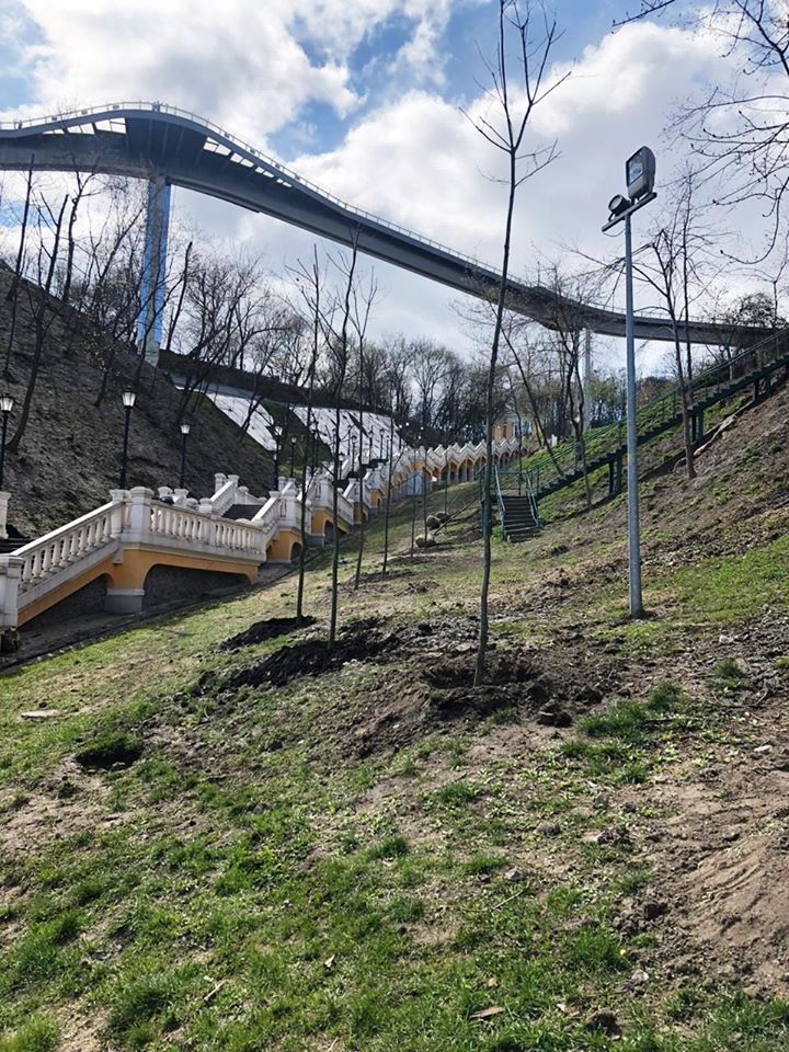 Дали дуба: возле метро "Лесная" высадили более 7 тысяч деревьев фото 2 1