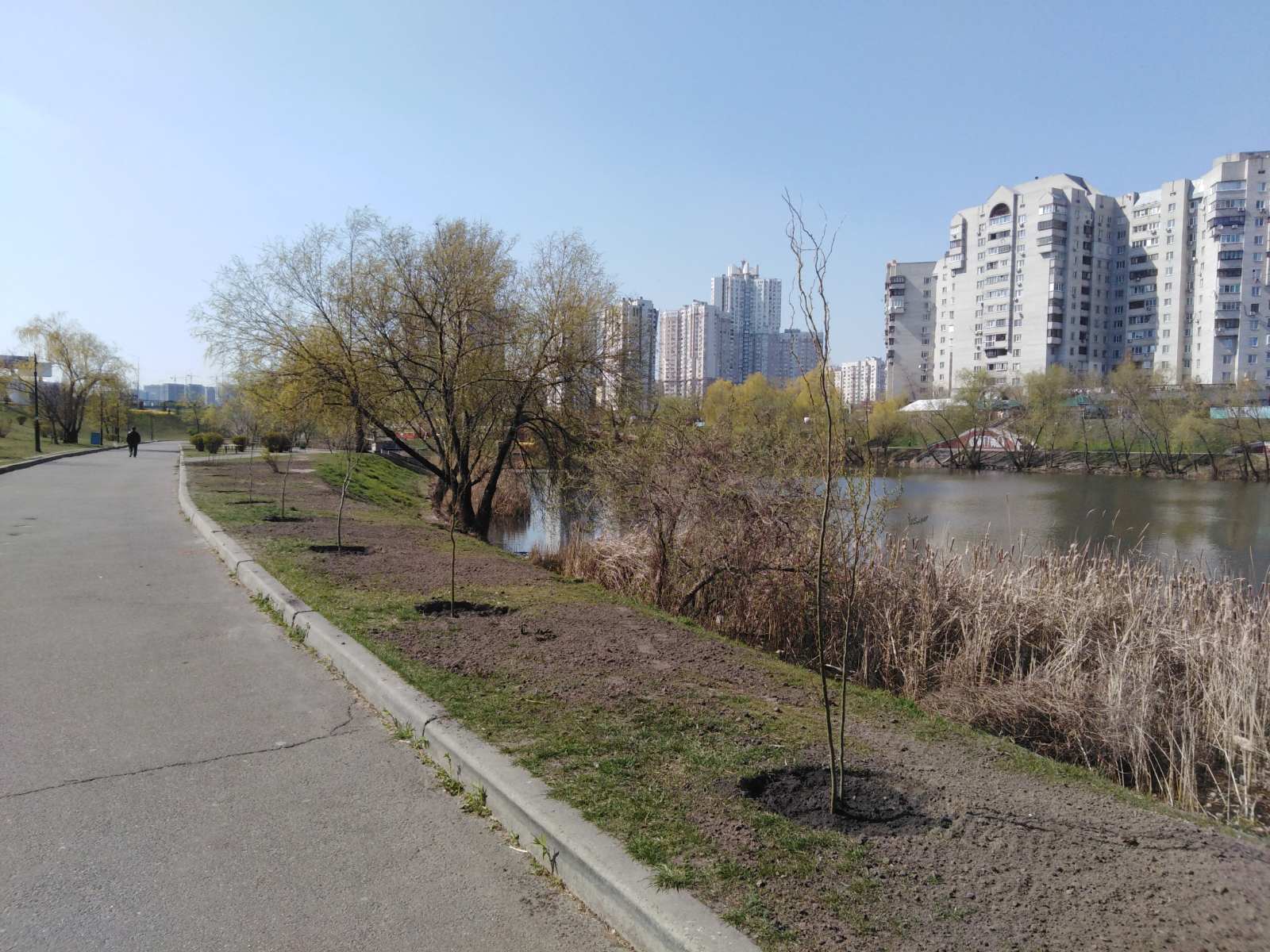 Кому повезло: в каких парках появились новые деревья фото 2 1