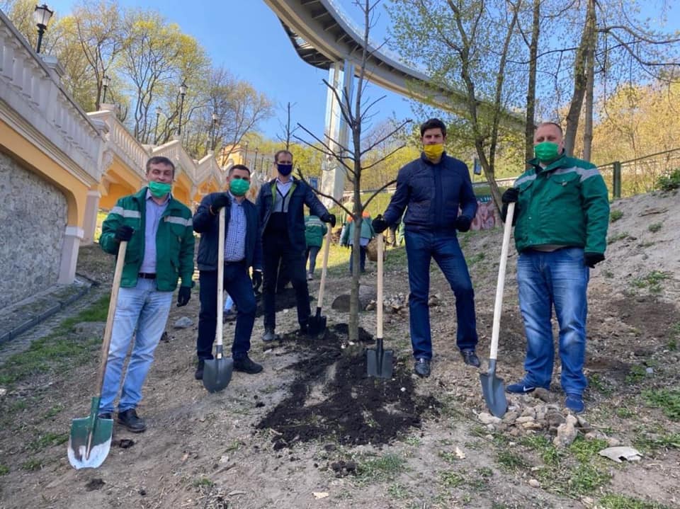 Кому повезло: в каких парках появились новые деревья фото 1