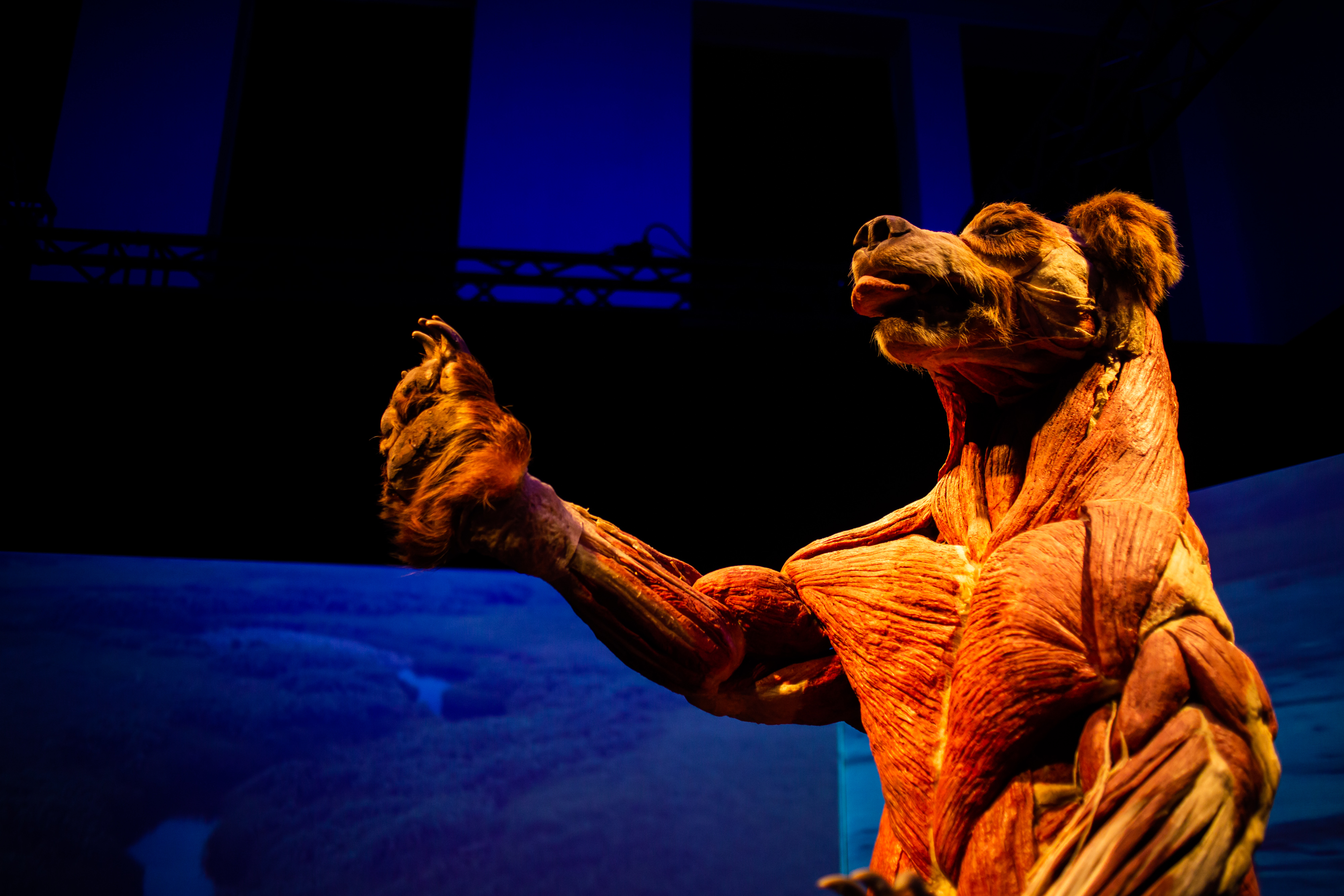 Фото: пресс-служба