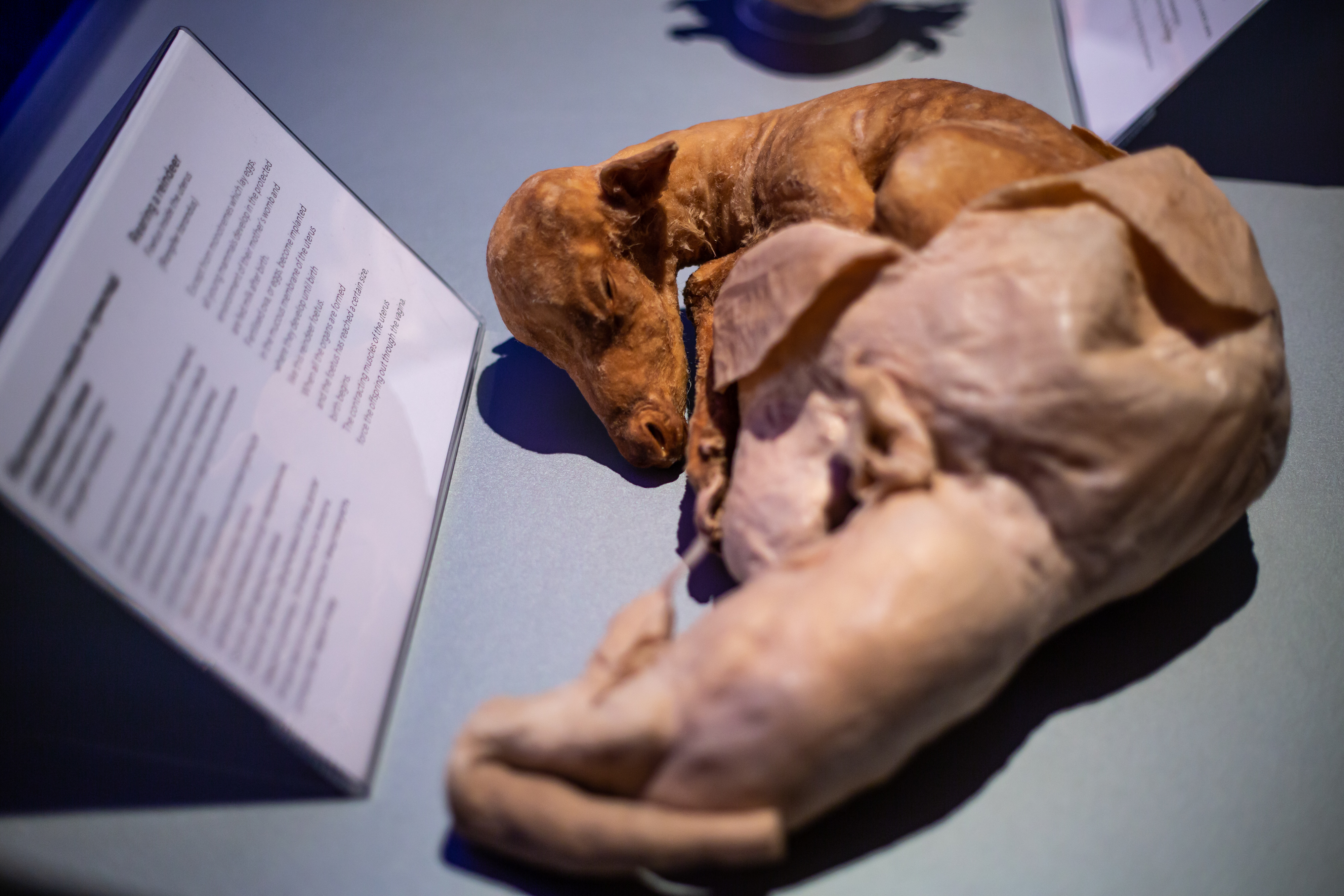 Фото: пресс-служба