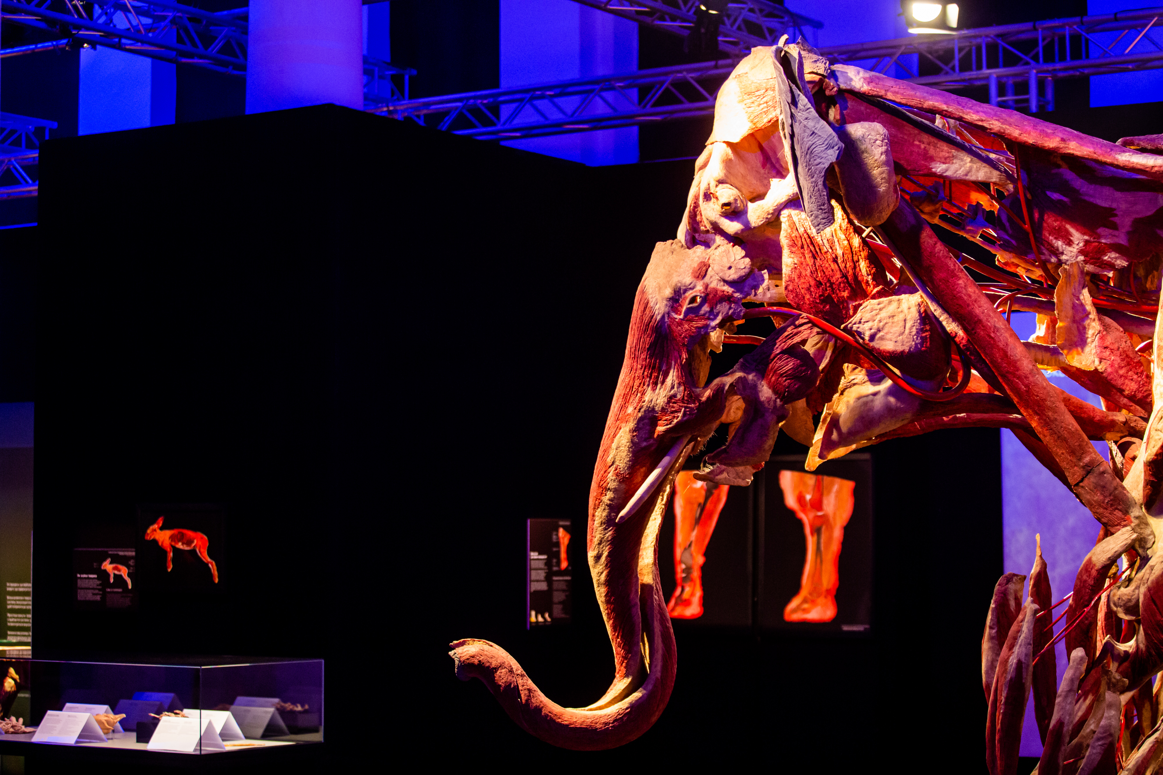 Фото: пресс-служба