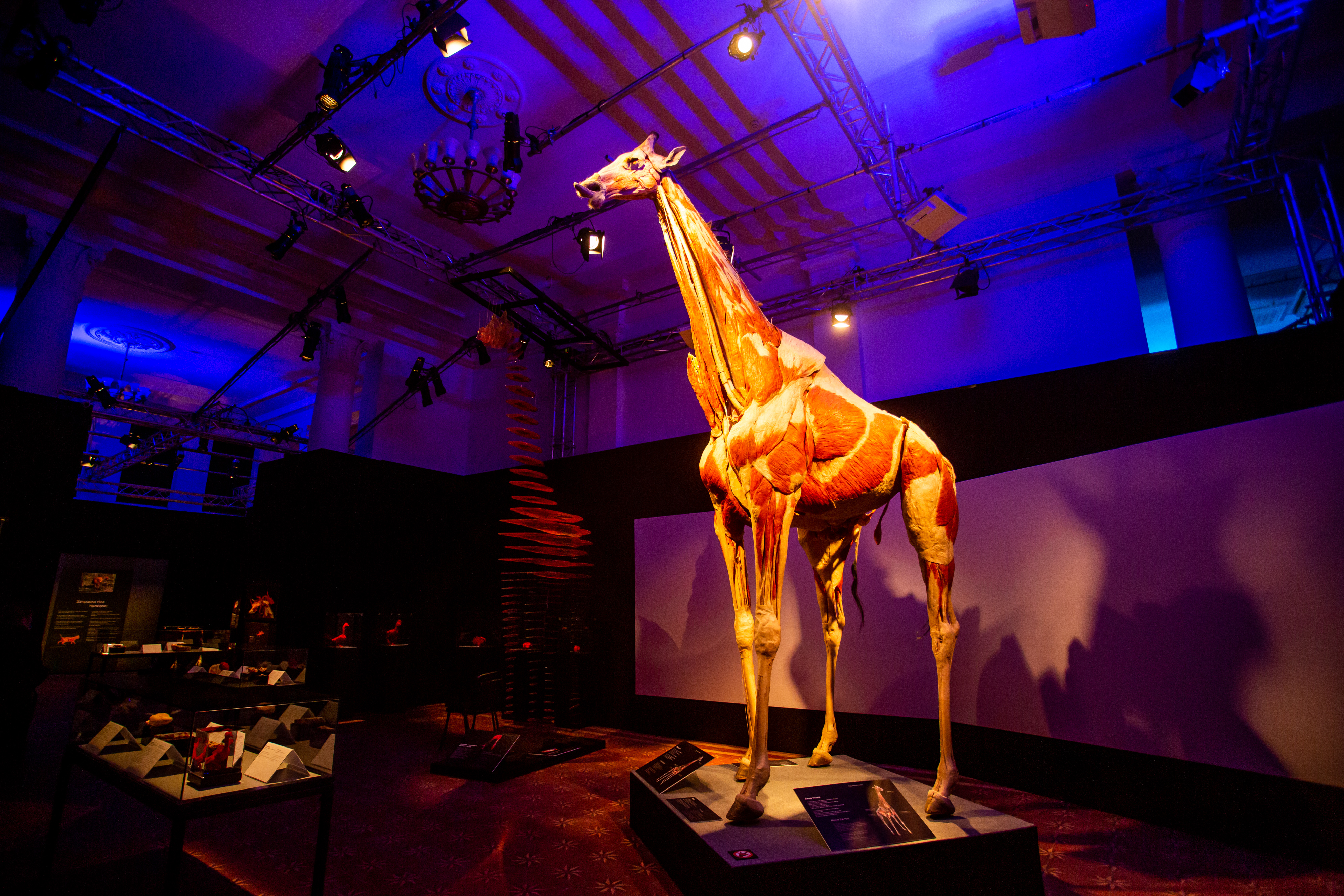 Фото: пресс-служба