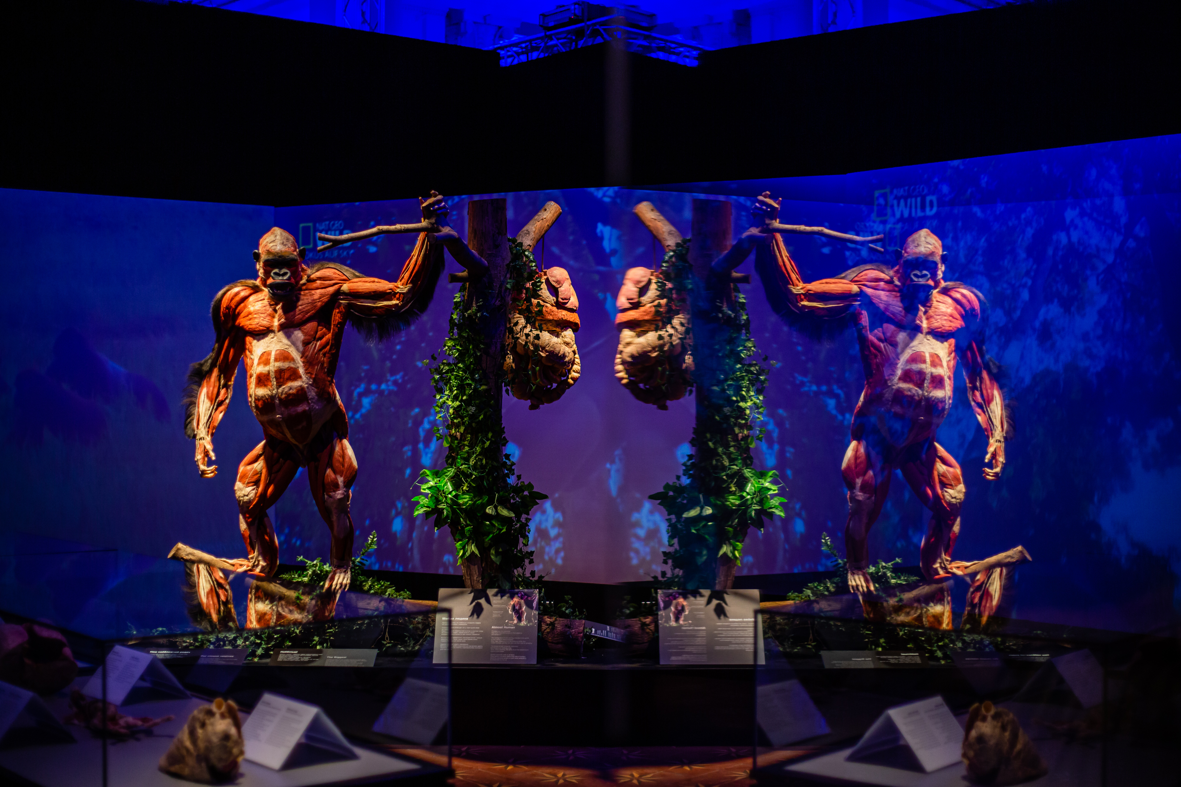 Фото: пресс-служба