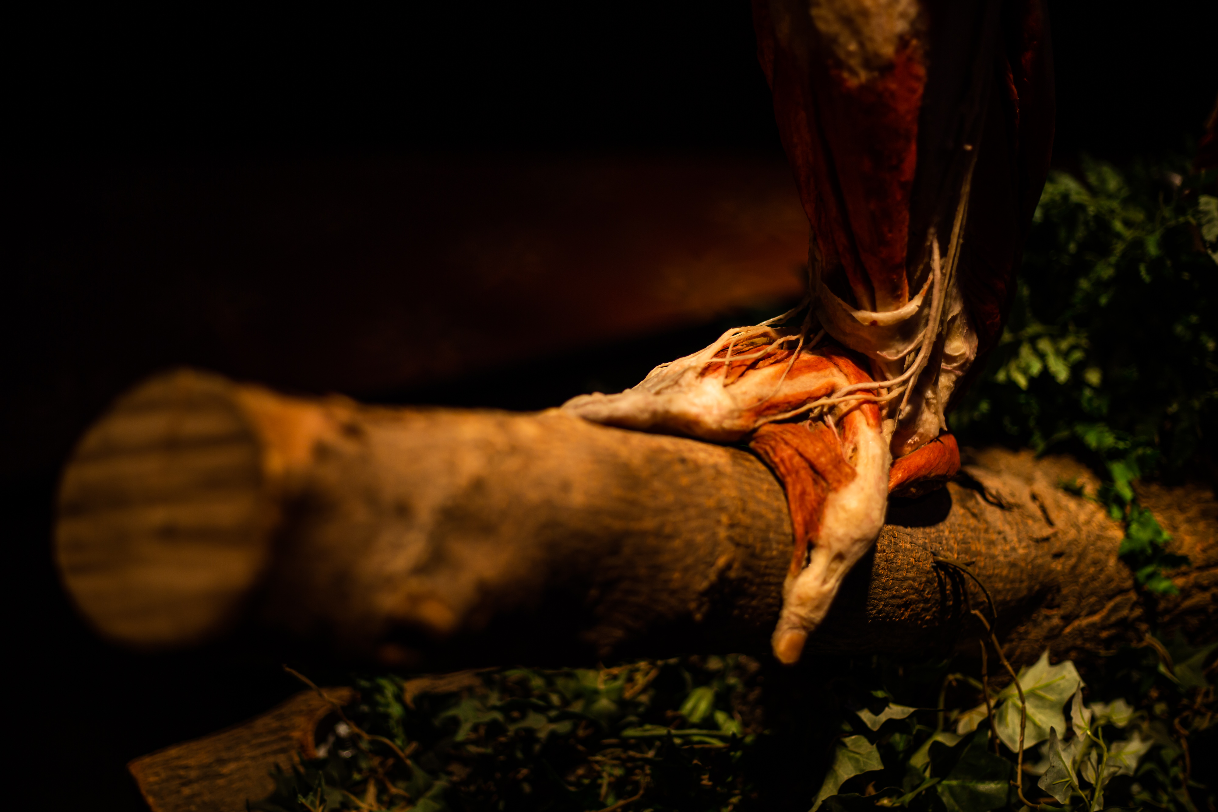 Фото: пресс-служба