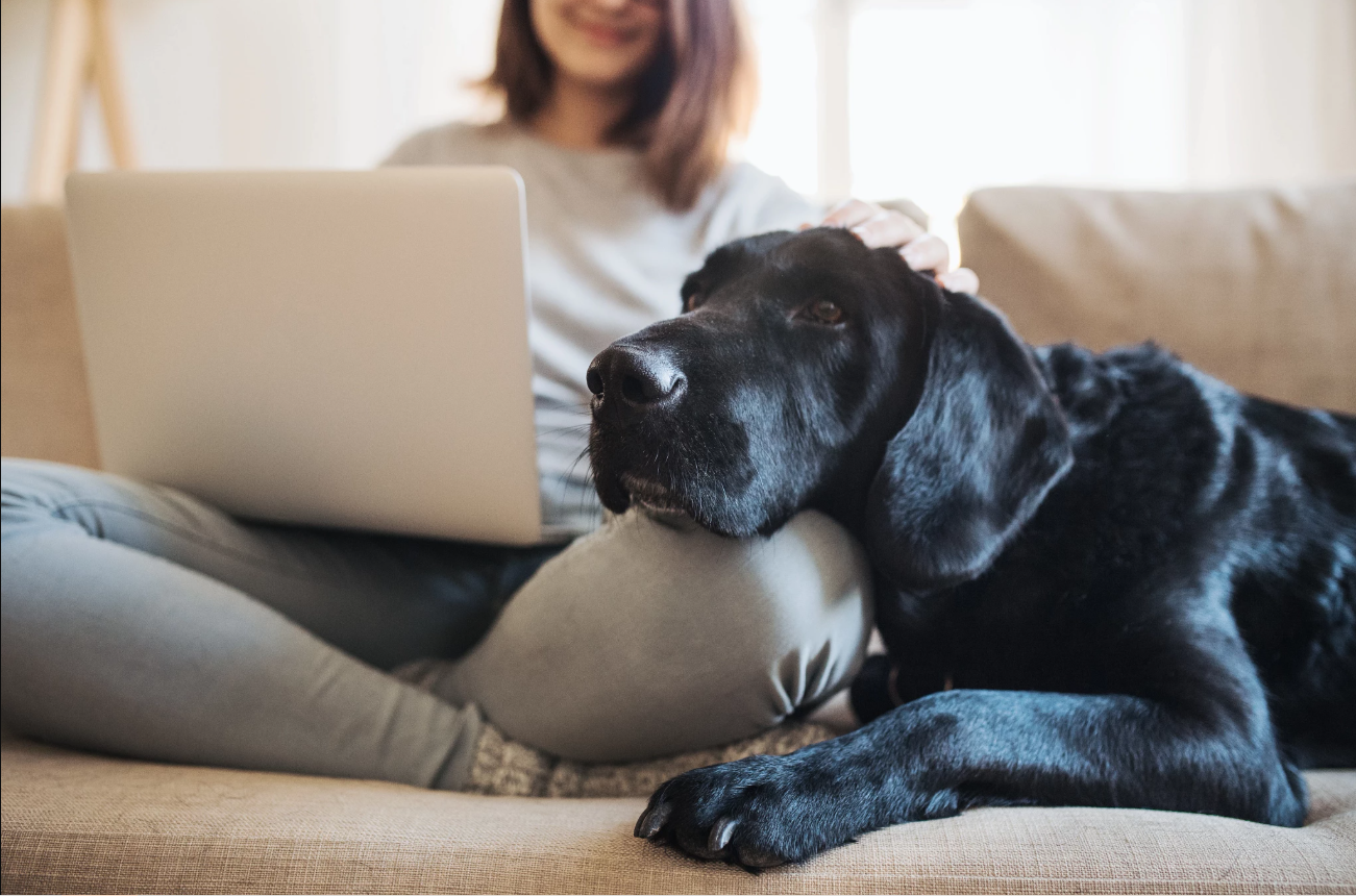 Фото предоставлено рекламодателем