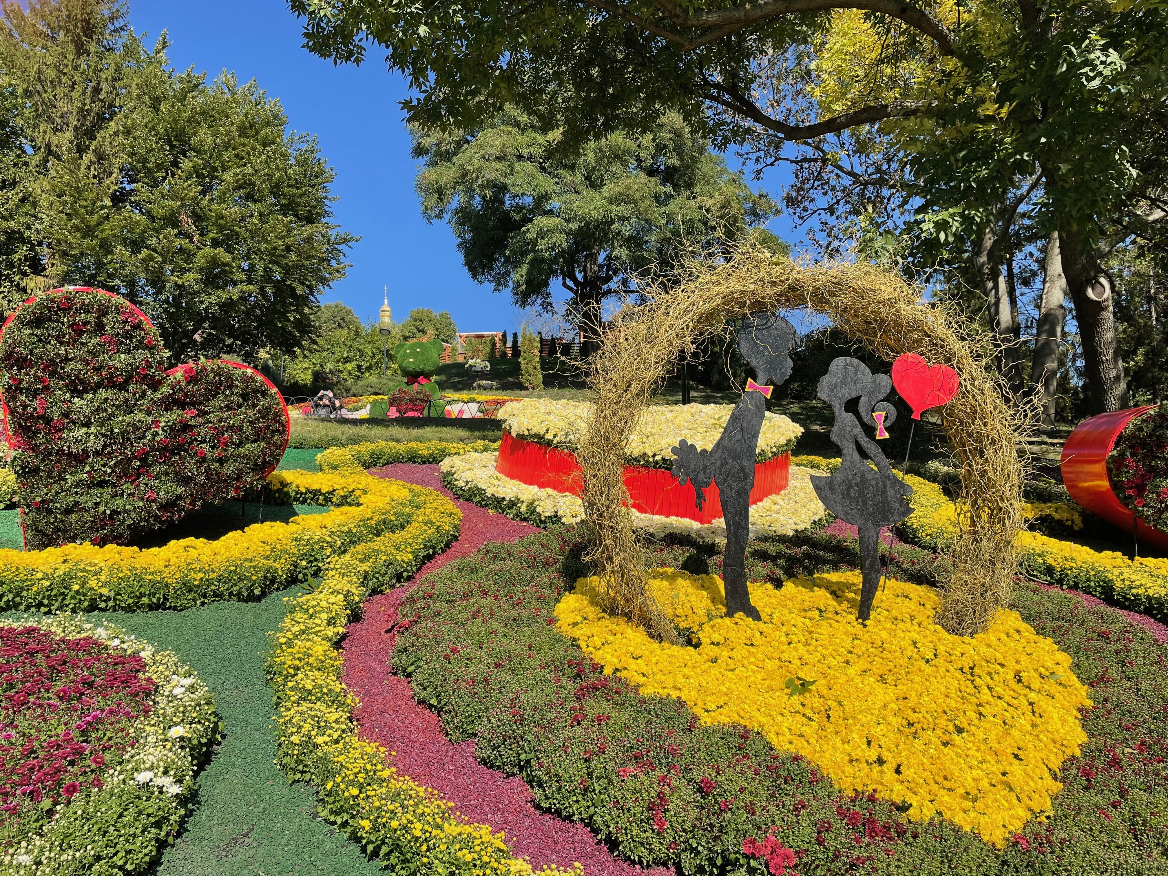 Насладись романтикой: на Спивочем поле открылась выставка хризантем фото 3 2