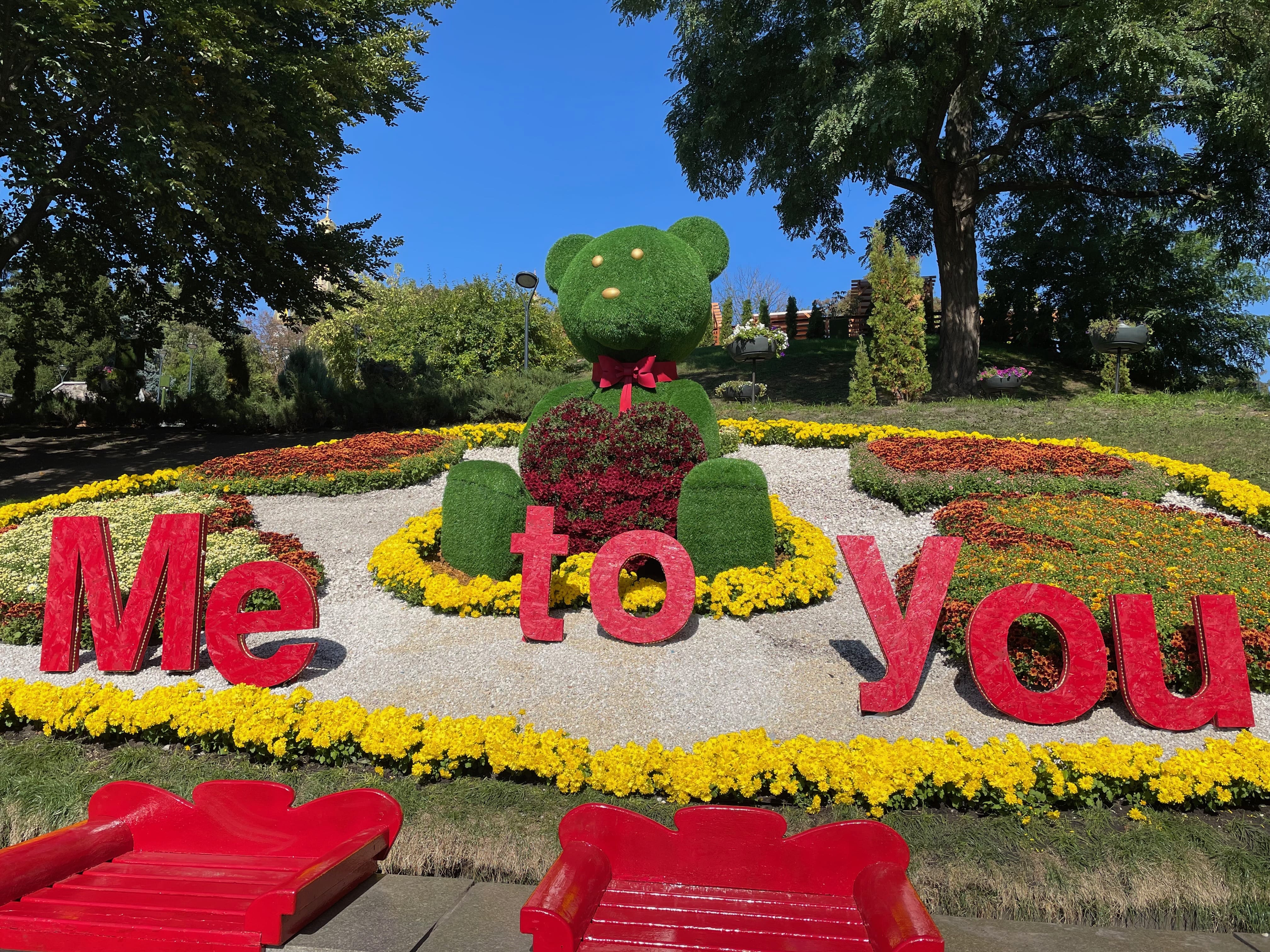 Насладись романтикой: на Спивочем поле открылась выставка хризантем фото 1