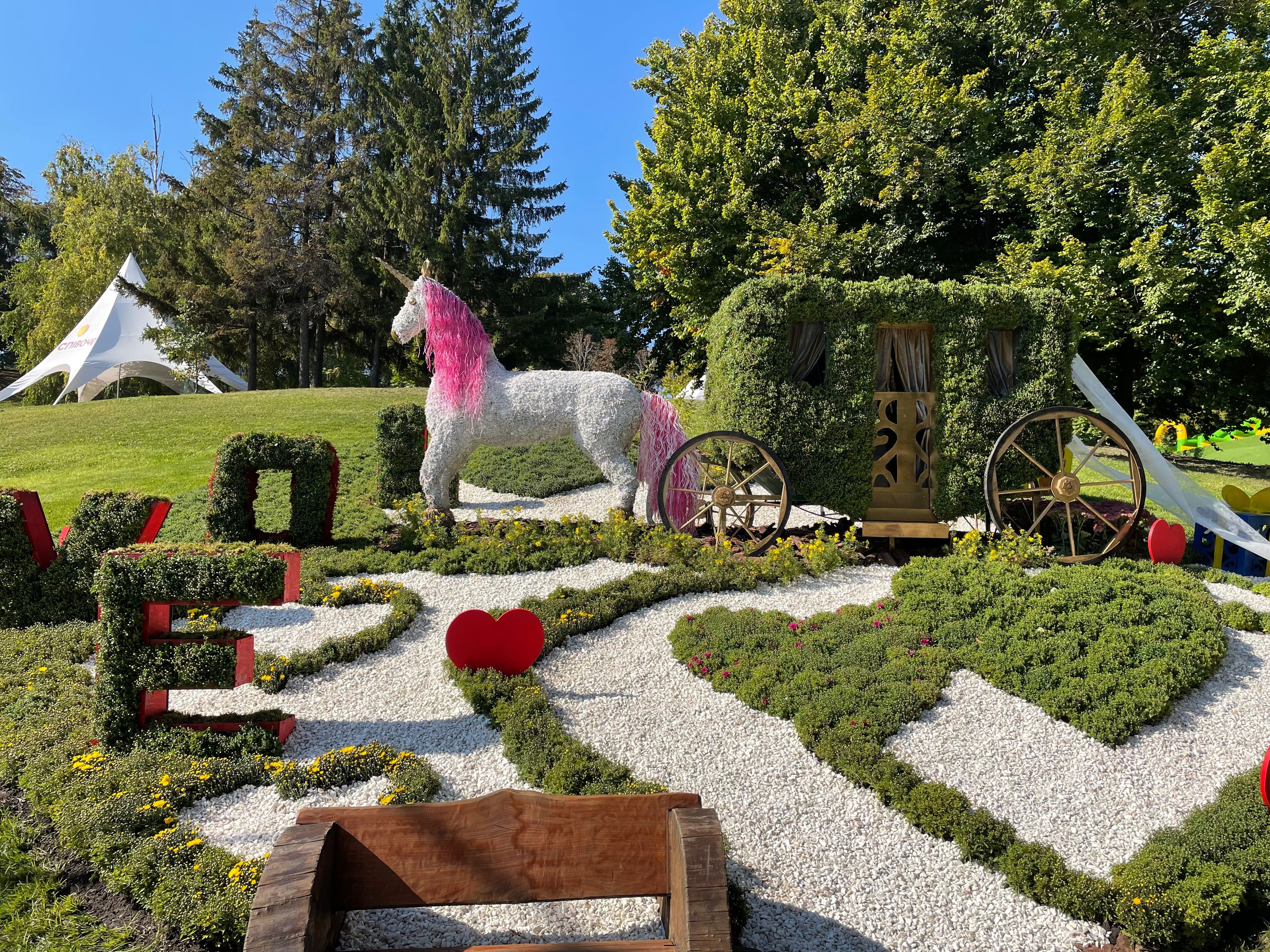 Насладись романтикой: на Спивочем поле открылась выставка хризантем фото 2 1