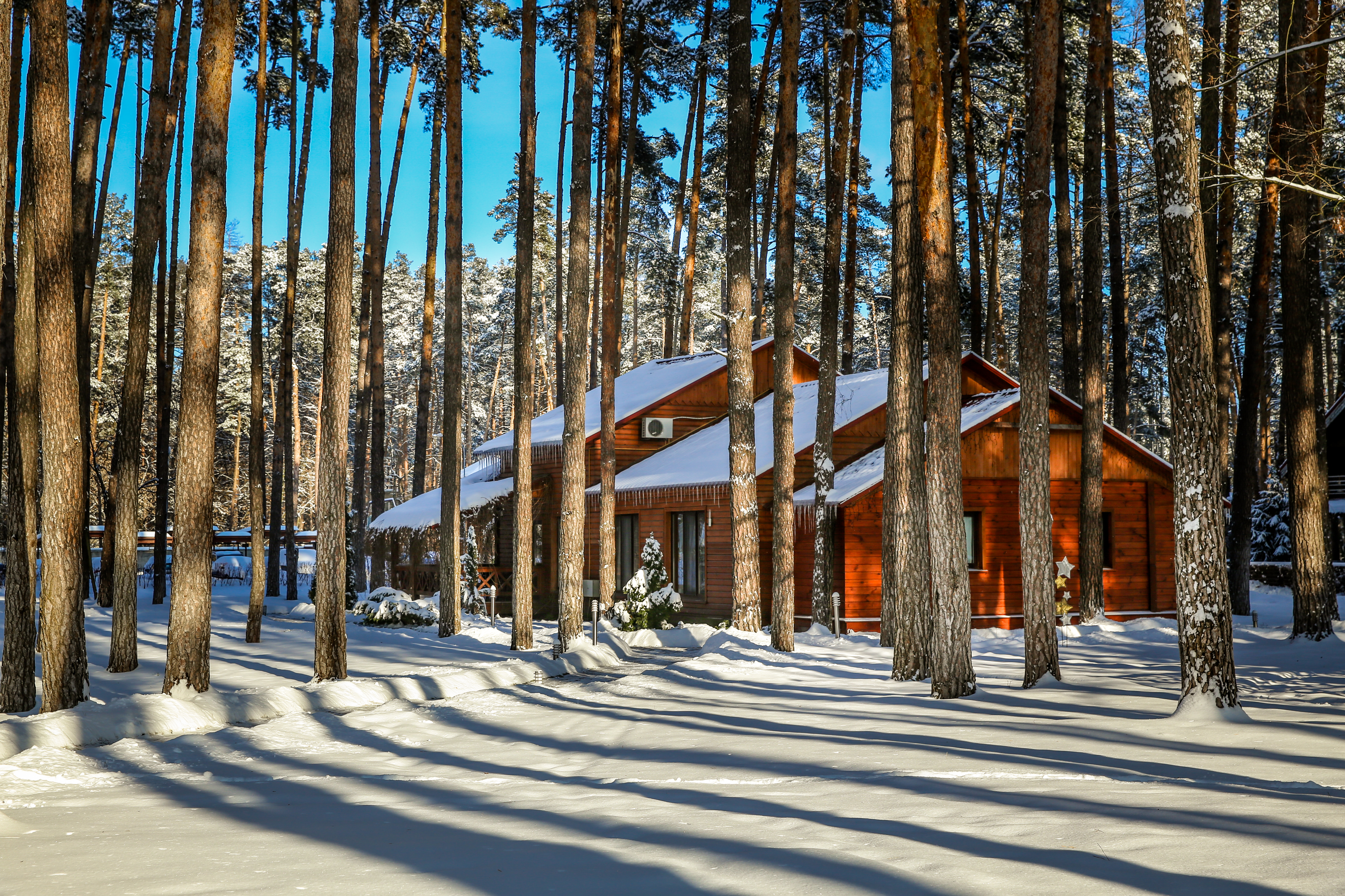 Новый год на лесном СПА-курорте GRAND ADMIRAL RESORT & SPA фото 1