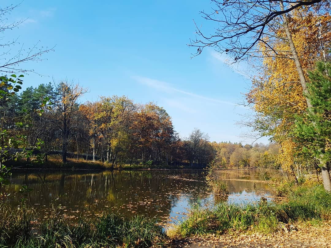 Фото: margo_esaulova