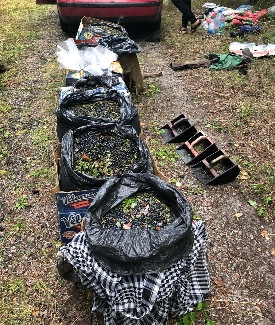 Фото: Прикордонна служба України