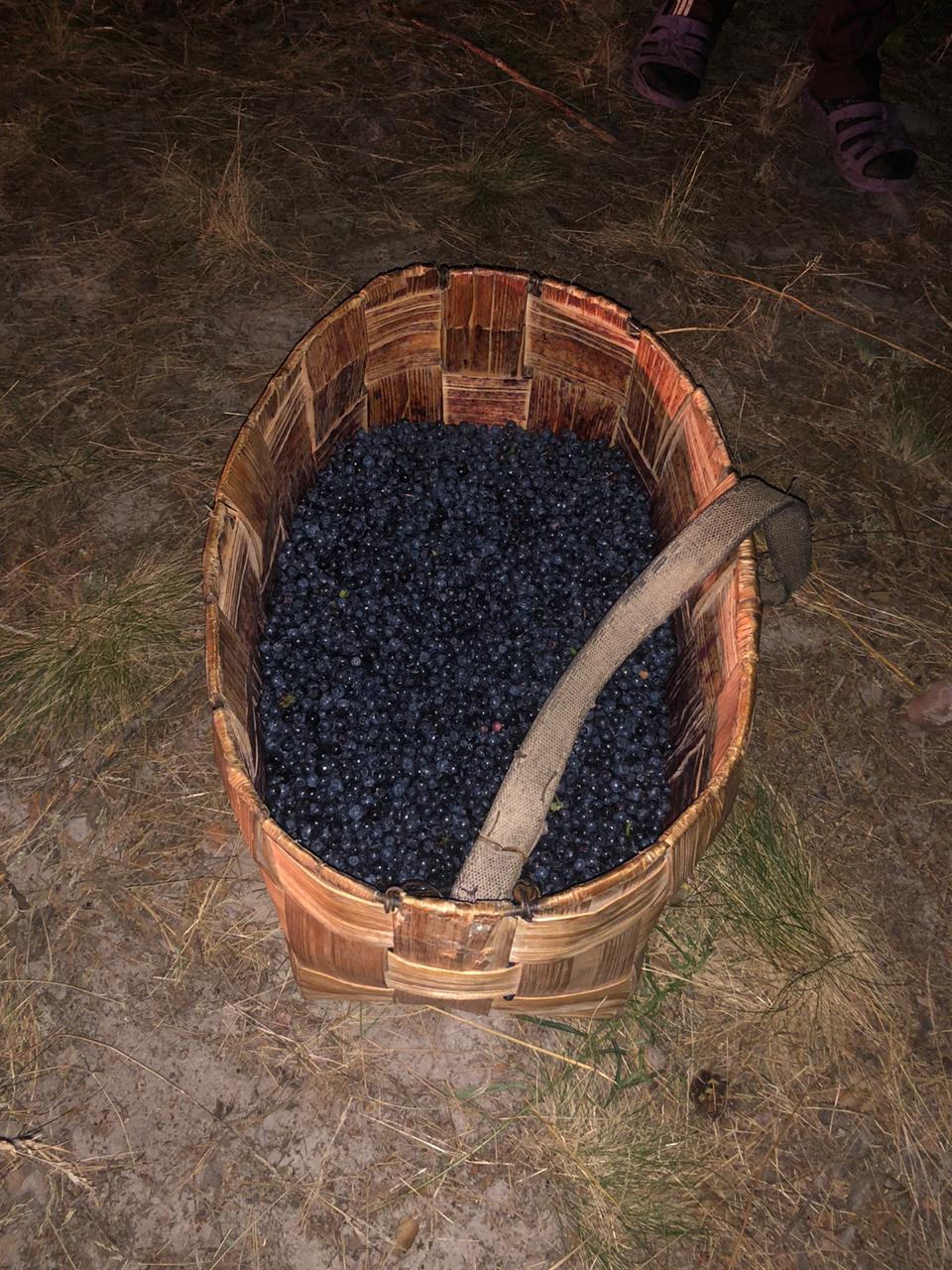 Фото: Прикордонна служба України